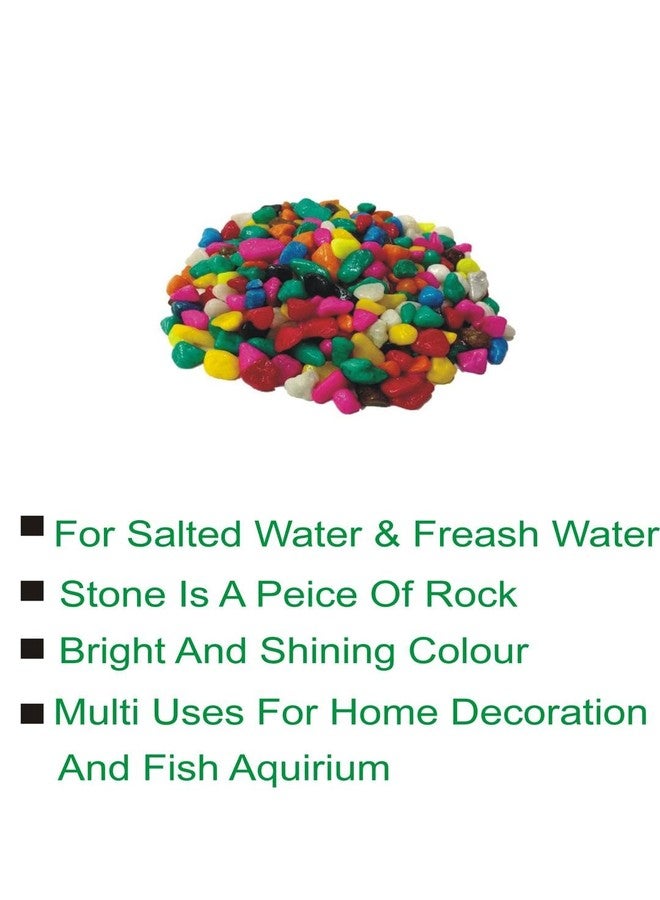 Somil Multicolor Pebbles/Stones for Garden, Plants, Lawns, Aquariums, Fish Pots, Home Decor, Vases, Furniture Filler. Size: 10-30mm, Shiny Multicolor -A224 - Image 2